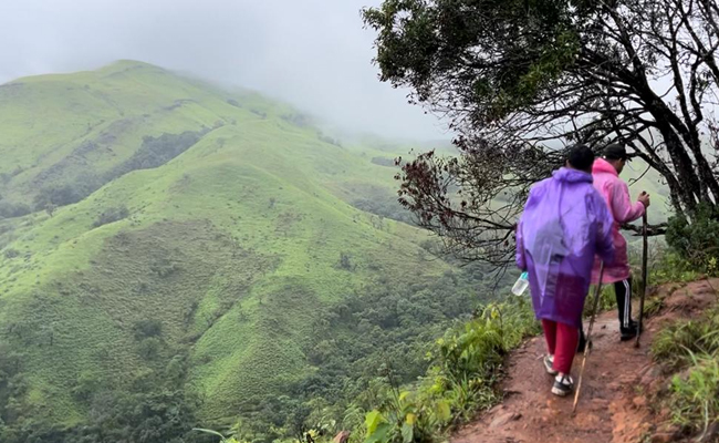 Karnataka orders closure of all trekking paths in human-wildlife conflict zones