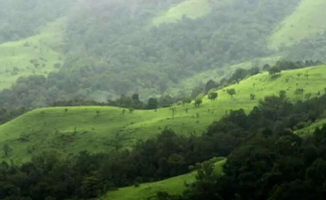 Chikkamagaluru: Forest department issues notice to clear unauthorized resorts, homestays