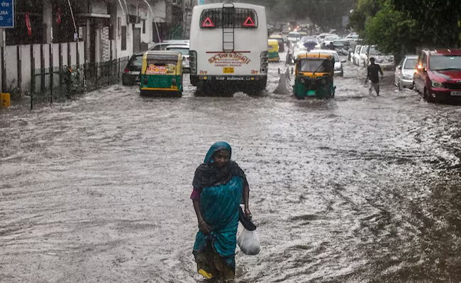 Authorities swing into action to clear waterlogging, downed trees after heavy rains in Bengaluru