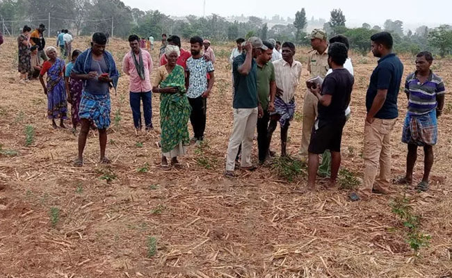 Wild elephant tramples to death 35-year-old man in Chamarajnagar