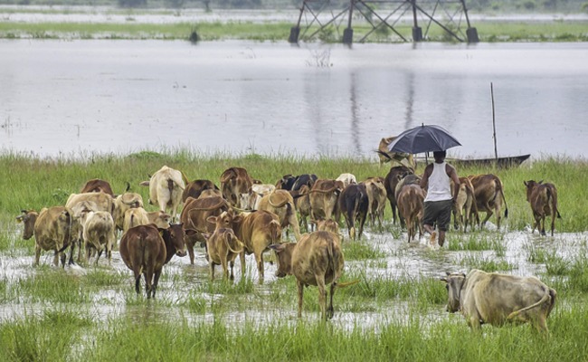 Assam floods