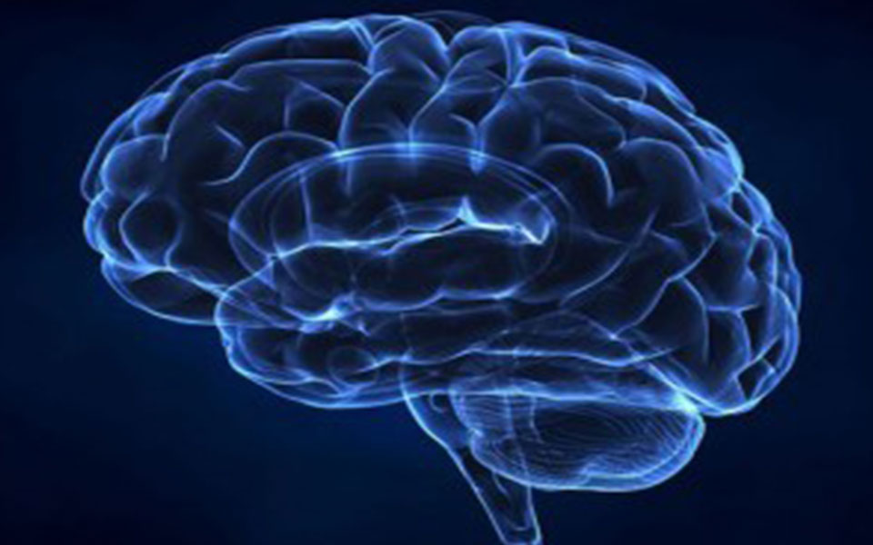 Decoded: Which brain region helps us stay conscious?