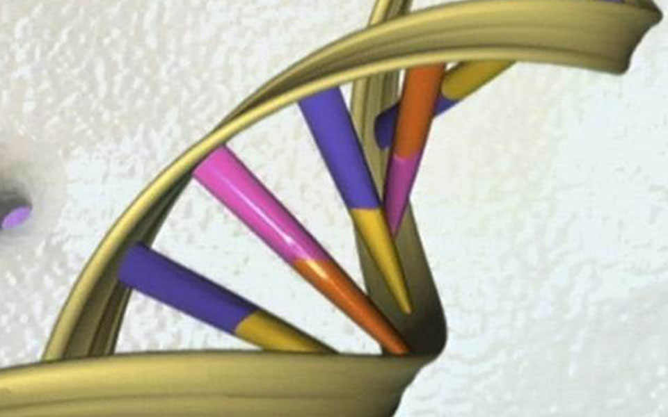 10 new cancer risk genes identified