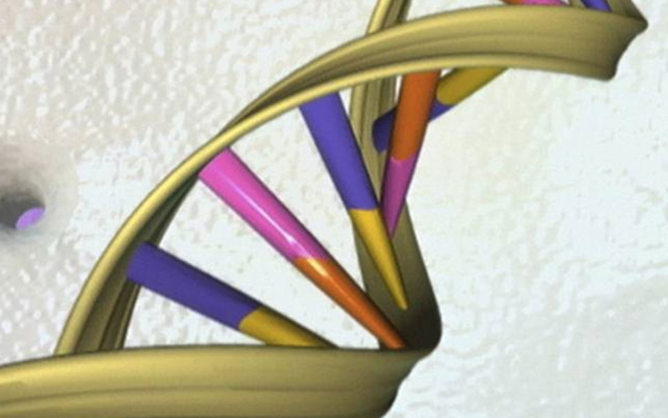 Scientists identify gene that helps treat cancer