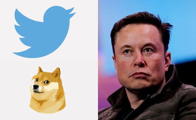 Meme fest in Twitter as it changes its blue bird logo to Doge meme