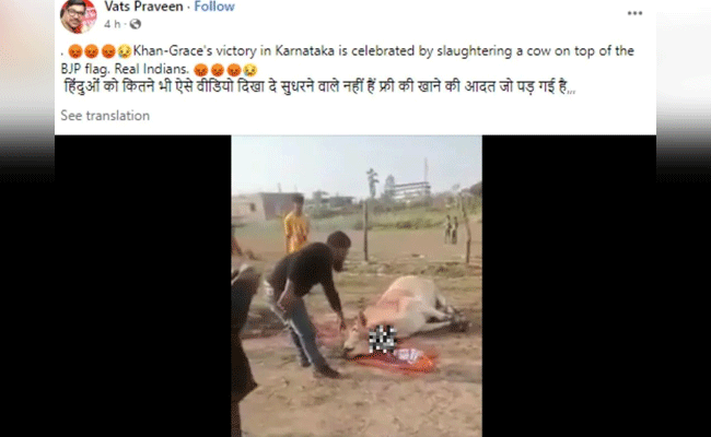 Viral video of cow slaughter on BJP flag falsely attributed to Karnataka Congress win