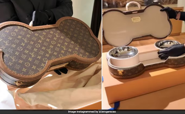 CEO’s Rs 14 lakh Louis Vuitton dog suitcase triggers social media debate