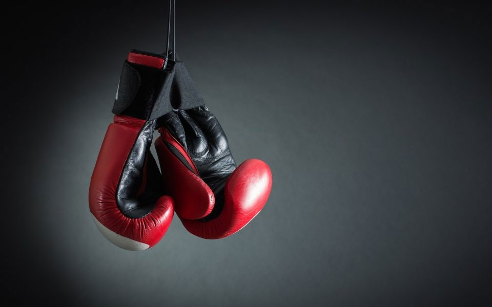 Boxer dies in training session