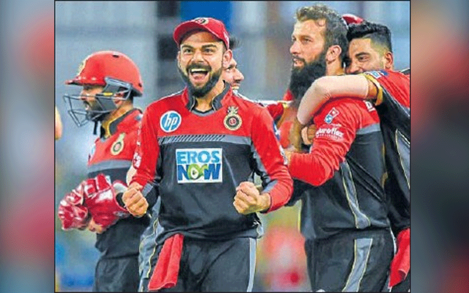 RCB live to fight for another day