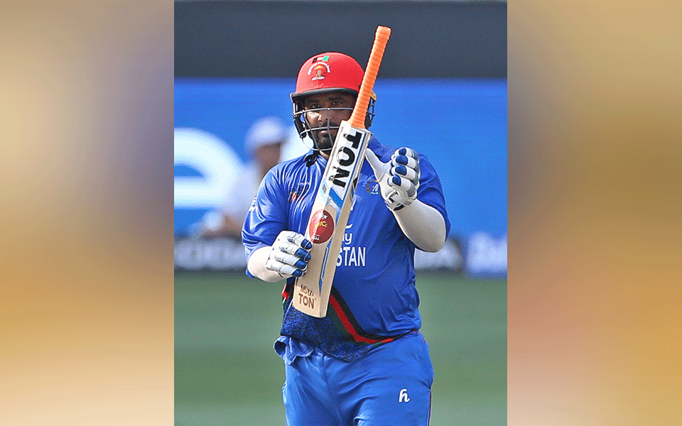 Asia Cup: Shahzad, Nabi guide Afghanistan to 252/8 against India