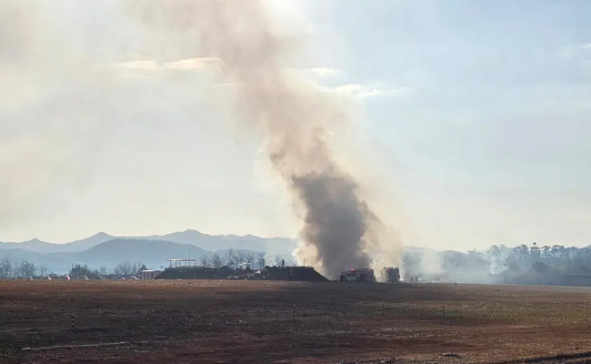 Plane bursts into flames after skidding off runway at airport in South Korea, killing 62 people