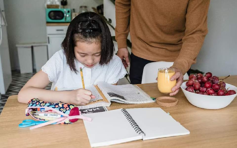 Dutch school bans parents from accessing children's grades to reduce stress