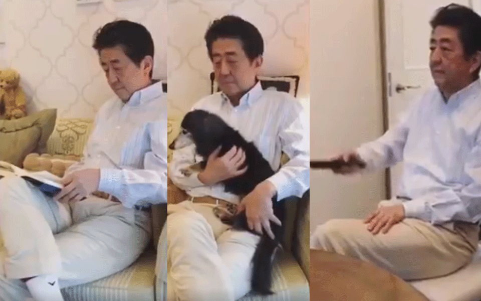 Japan PM Abe criticized for ''stay home'' message