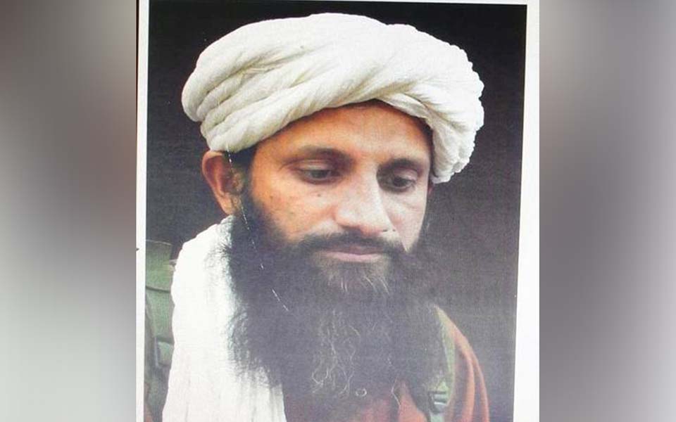 South Asia region Al-Qaeda chief killed in Afghanistan