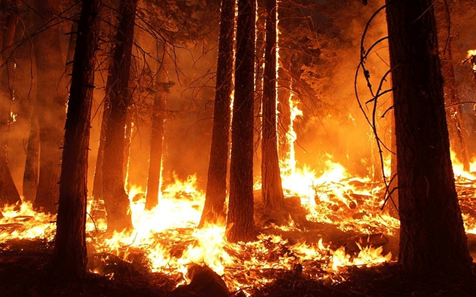 90 houses destroyed by Australia wildfires