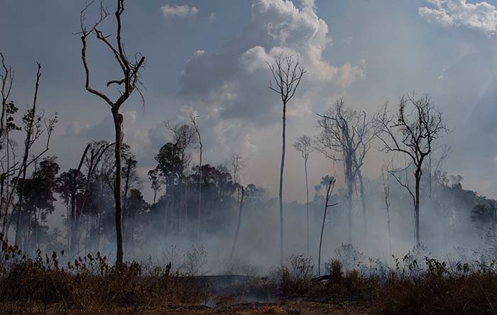 Brazil's burning ban takes effect as Amazon fires rage