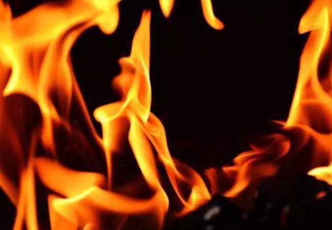 Second Indian national dies after suffering severe injuries in US house fire