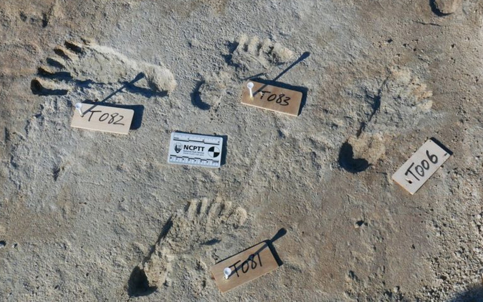 Oldest human footprints in North America found in New Mexico