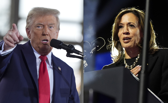 Trump ahead in US presidential race: AP gives him 230 electoral votes, Harris gets 179