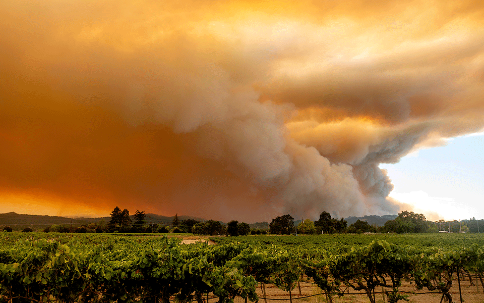 In just a week, wildfires burn 1 million acres in California